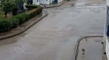 أمطار غزيرة تضرب محافظة الإسماعيلية لليوم الثاني على التوالي وسط أجواء متقلبة